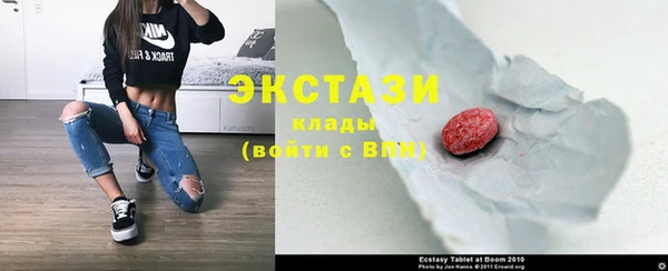мдпв Рославль
