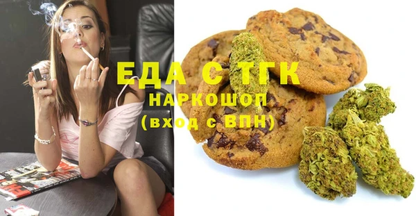 индика Абаза