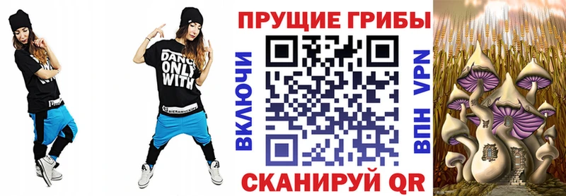 hydra tor  Кинешма  Галлюциногенные грибы Psilocybe  закладка 