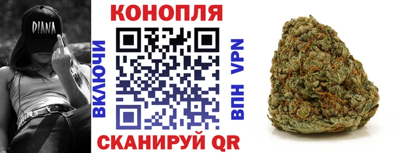 Конопля план  как найти   Кинешма 